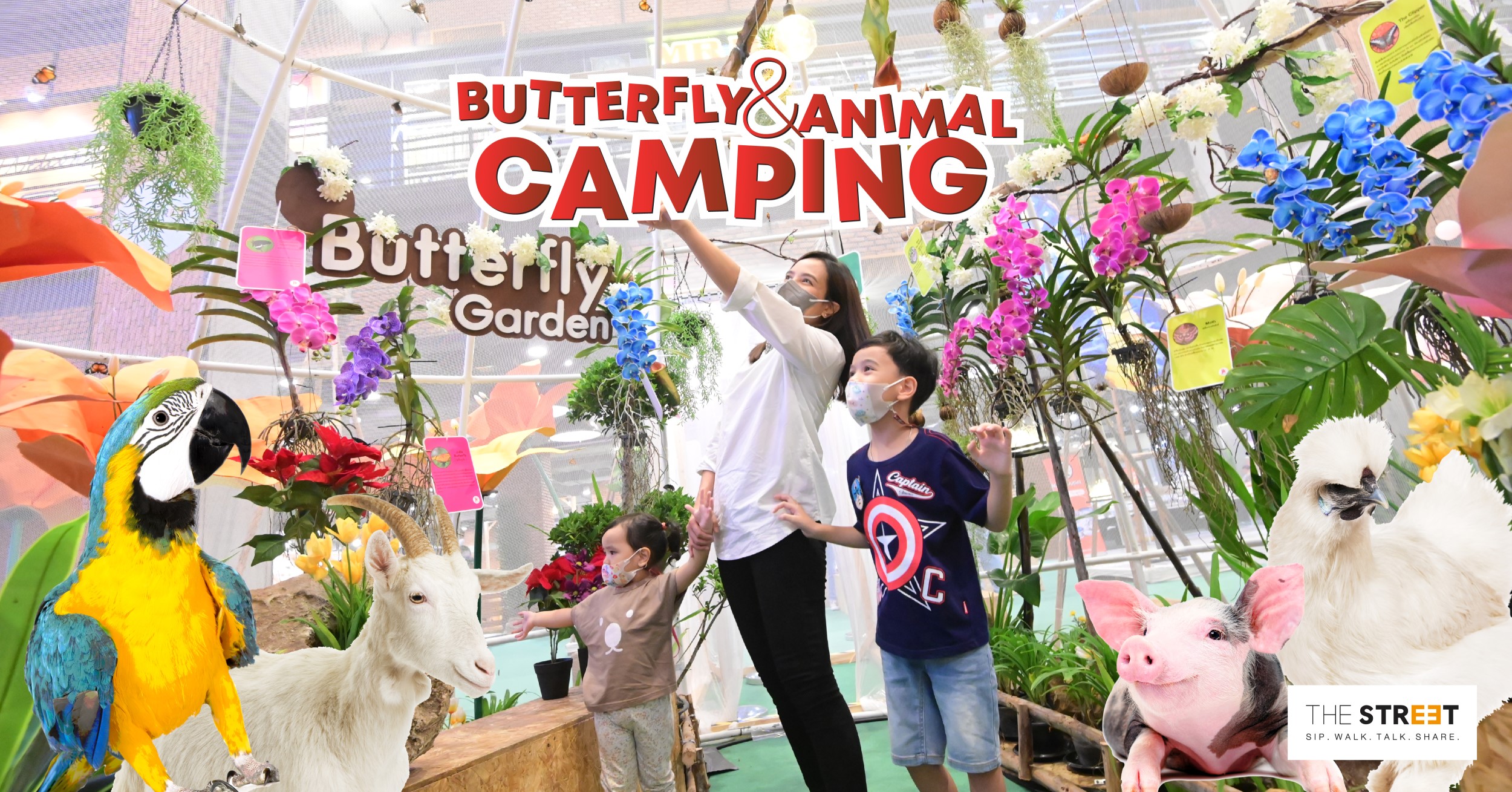 butterfly-and-animal-camping