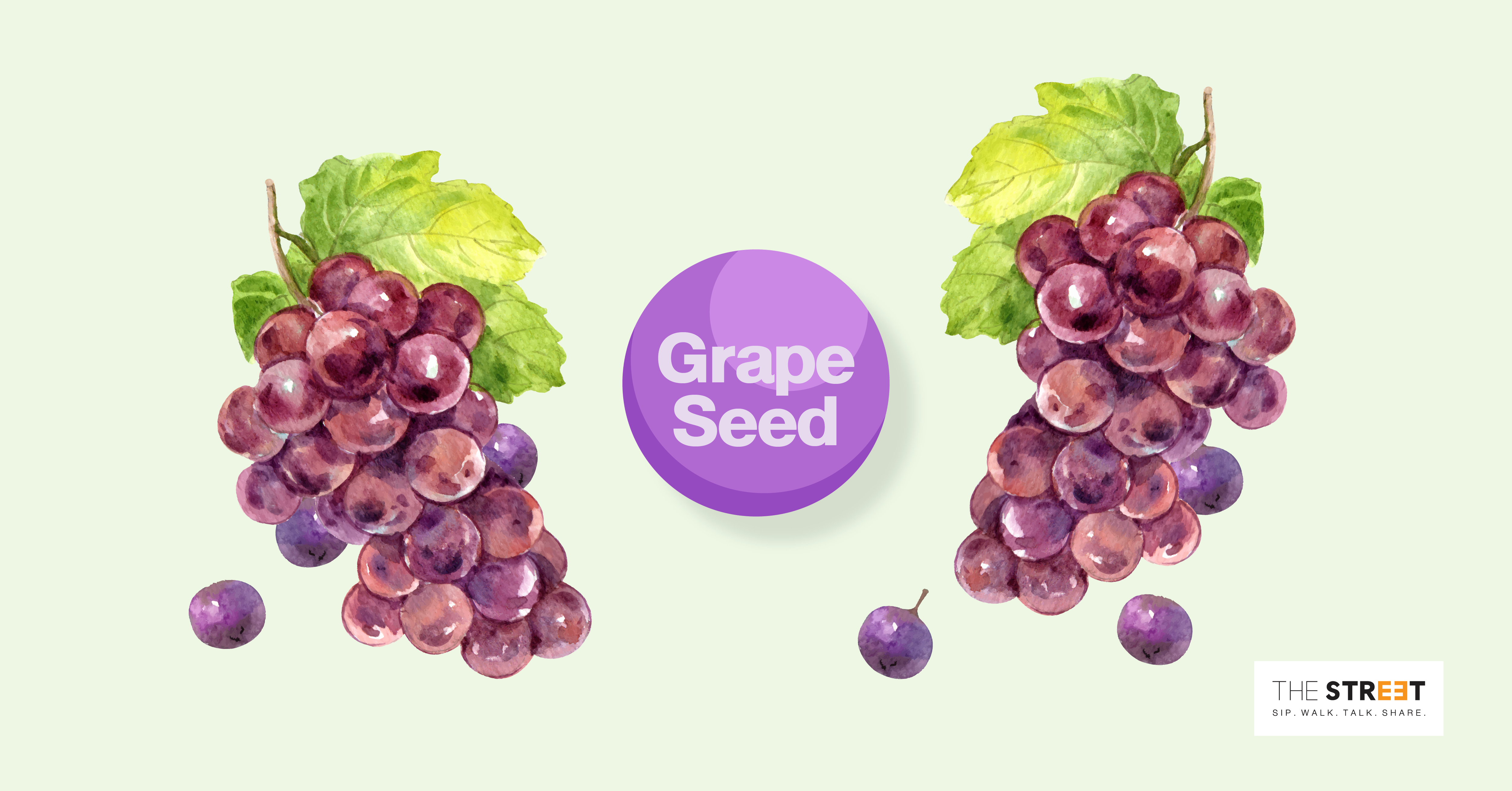 สารสกัดเมล็ดองุ่น (Grape Seed)