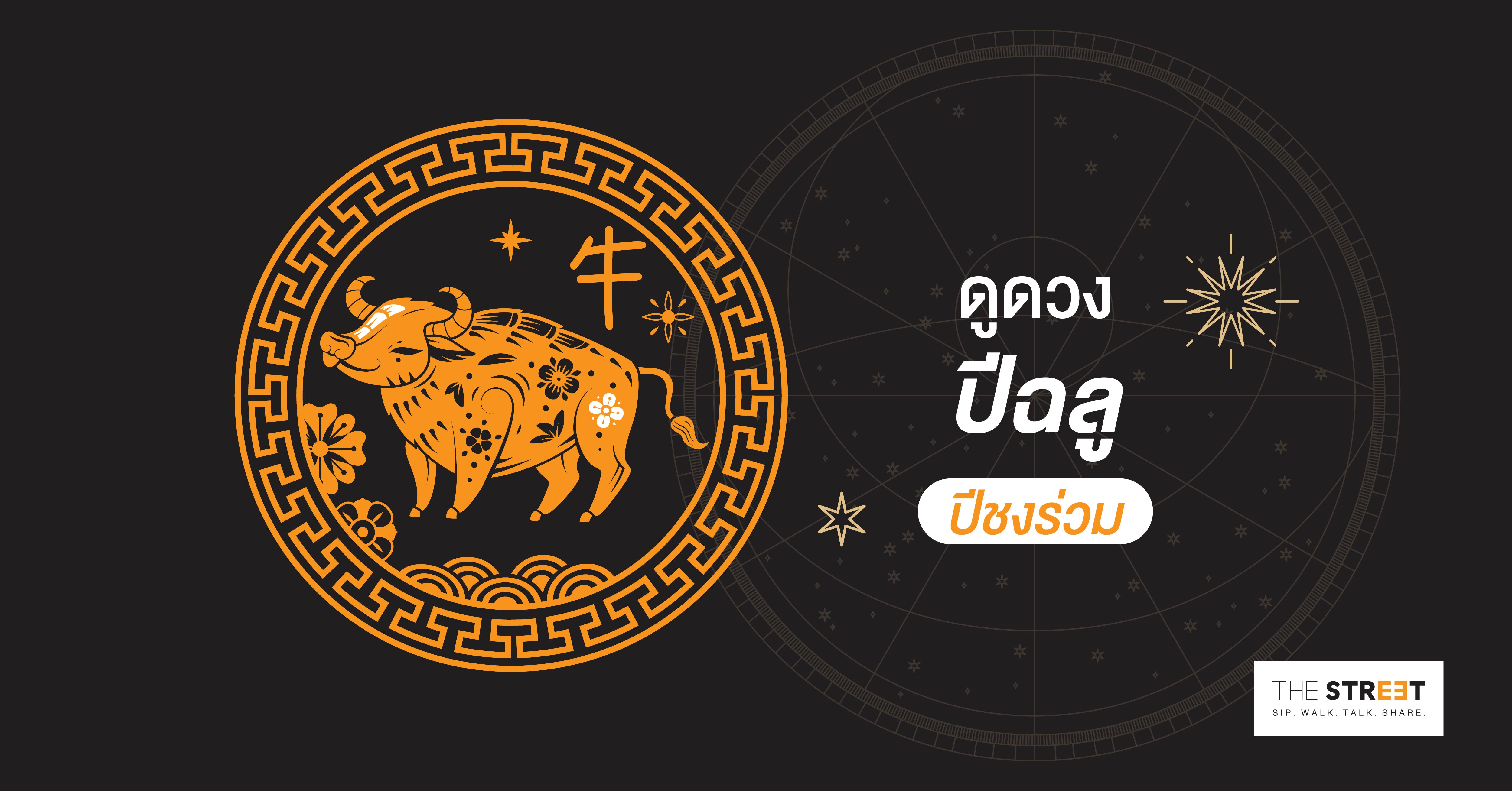 ดูดวงปีฉลู - ปีชงร่วม