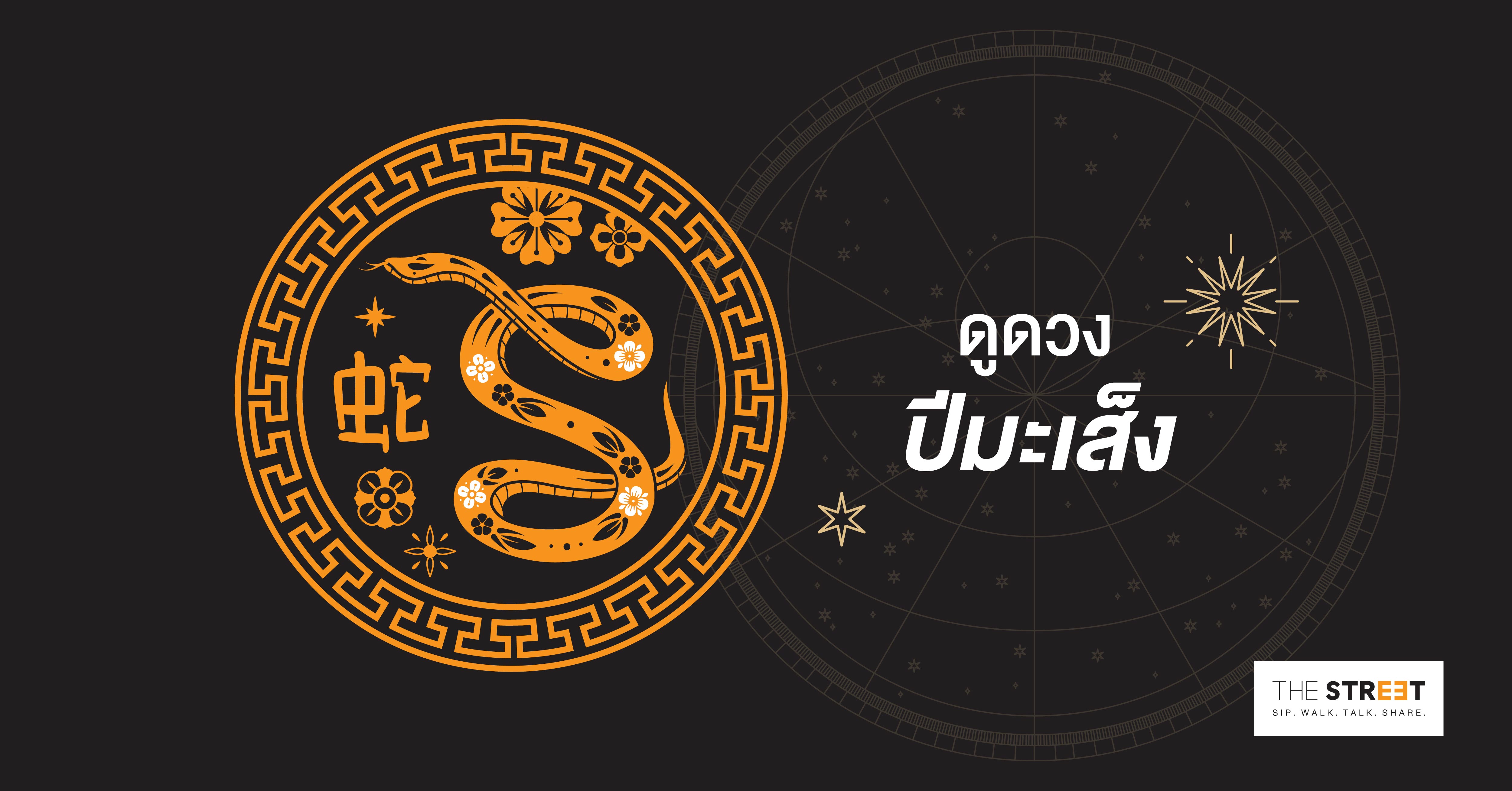 ดูดวงปีมะเส็ง
