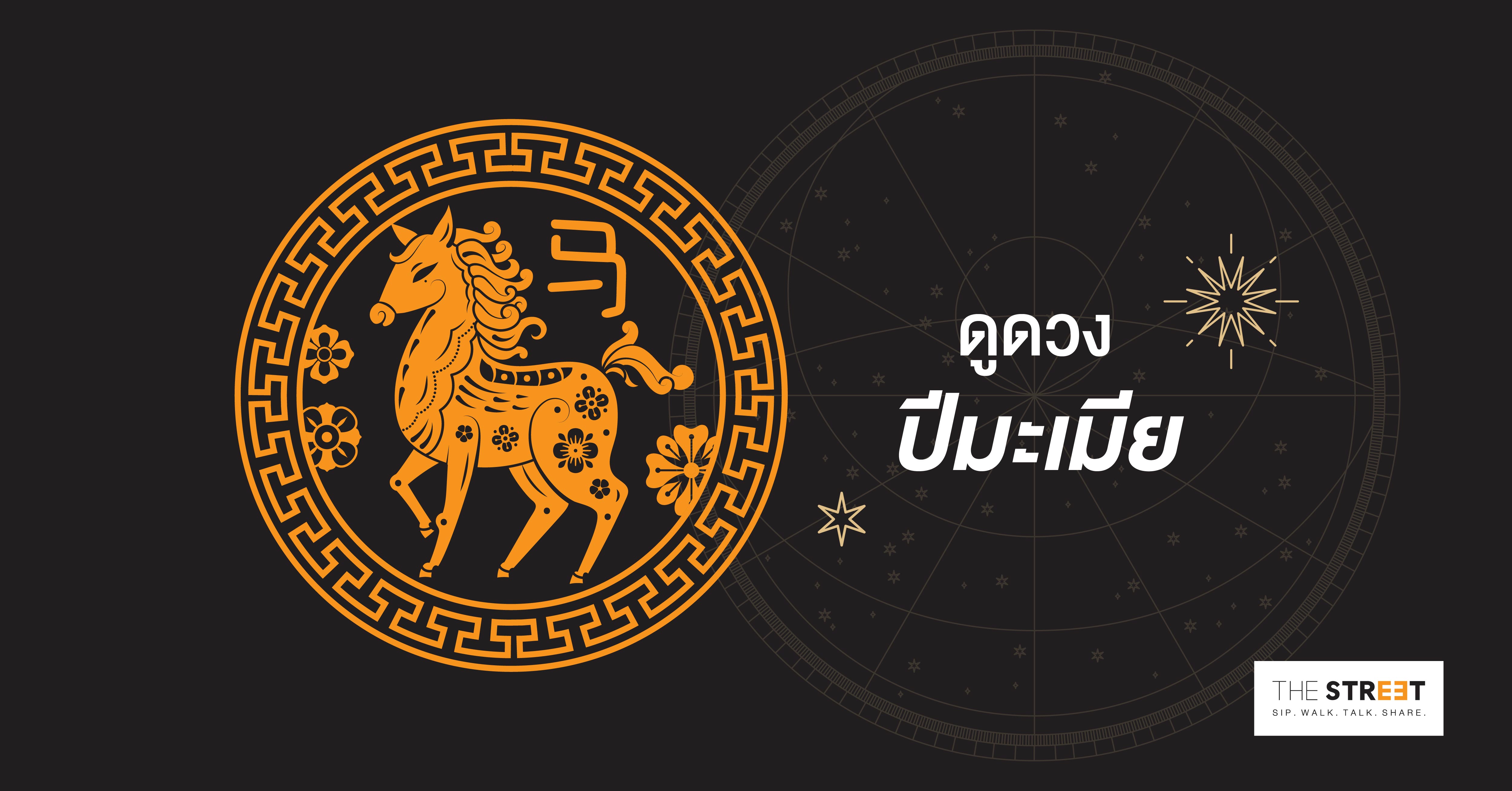 ดูดวงปีมะเมีย
