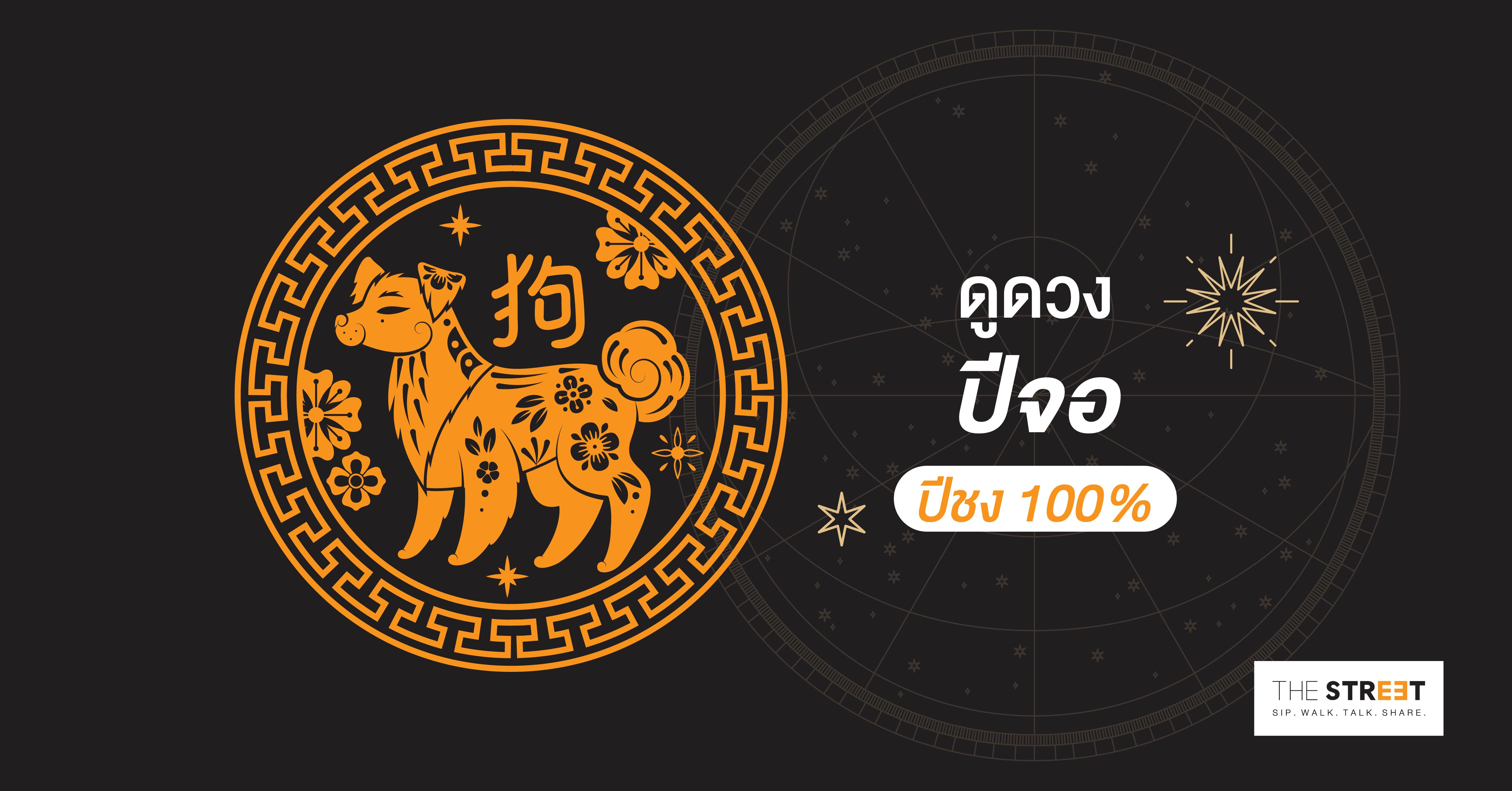 ดูดวงปีจอ - ปีชง 100%