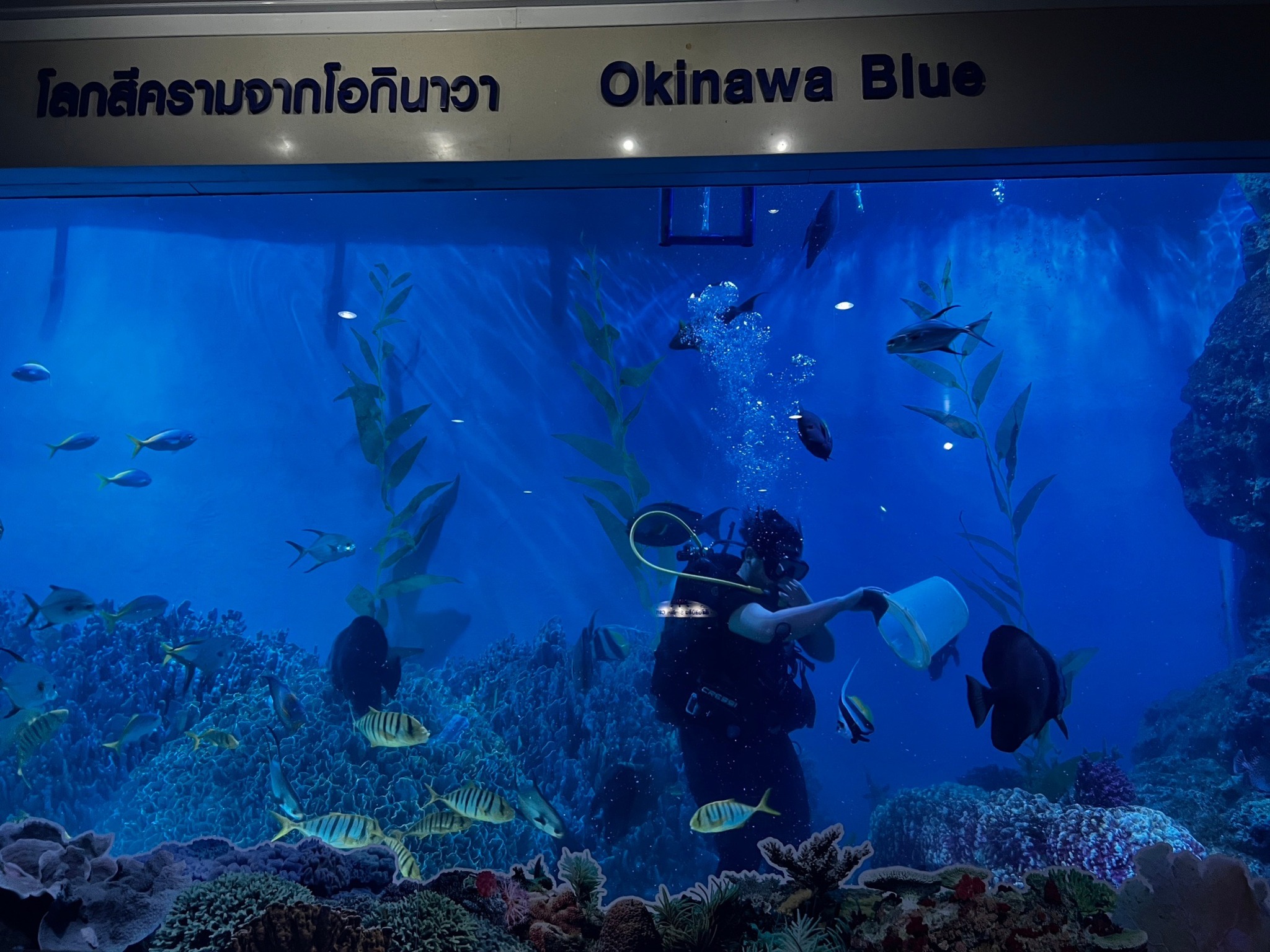 9. บึงฉวาก